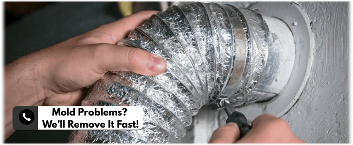 Air Duct Mold Removal in Kent WA