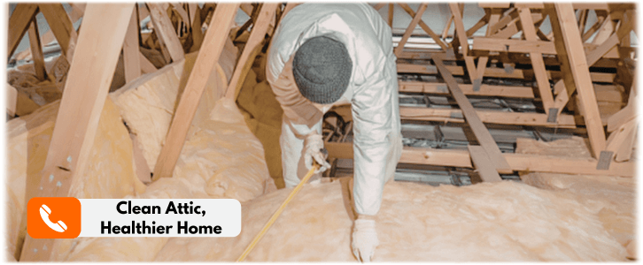 Attic Cleaning Kent WA